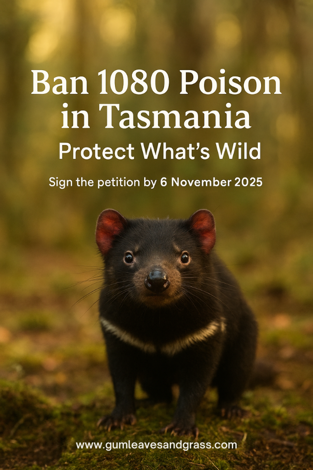 It’s Time to Ban 1080 Poison in Tasmania — For Good
